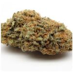 Шишки AK47 (Гидропоника, Бошка) VHQ в Канаше Шишки AK47 (Гидропоника, Бошка) VHQ в Канаше